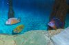 100_0052.jpg
