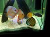 100_0063.jpg