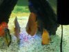 100_0059.jpg