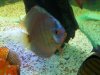 100_0057.jpg