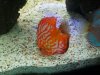 100_0056.jpg