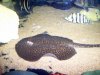 100_4124.JPG