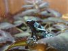 zoo pics 149.JPG
