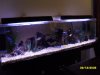 SDC10692.JPG