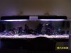 SDC10696.JPG