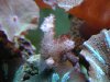 DSCN7338.JPG