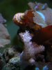DSCN7341.JPG