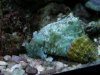 DSCN7348.JPG