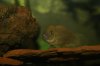 DSC03847.JPG