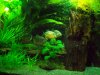 100_0276.jpg