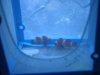 DSCN7358.JPG