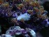 DSCN7360.JPG