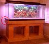 tank2.jpg