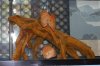 DSC_0006.JPG DSC_0006.JPG