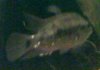 IMG_0361.jpg IMG_0361.jpg