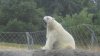 zoo 016.JPG