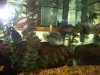 fish 002.jpg