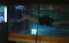 DSC00447.JPG