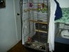 Picture 047.jpg