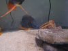 DSC03354.JPG