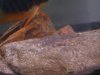 DSC03358.JPG