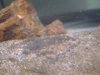 DSC03372.JPG