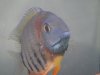 DSC03376.JPG