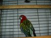 PIC_0786.JPG