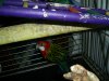 PIC_0788.JPG