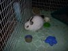 PIC_0789.JPG