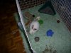 PIC_0790.JPG