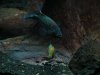 DSC04507.jpg