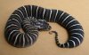 Scale-less%20800deathadder.jpg
