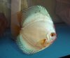 DSC00174.jpg