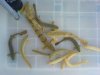DSC00766.JPG
