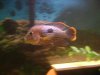 DSC03052.JPG