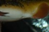 IMG_6316.JPG IMG_6316.JPG