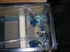 Tank and Fish 009.jpg