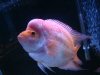 DSC03481.JPG