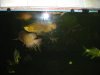 DSC02174.JPG