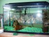 3m23of3le5Td5Pb5R29af304884558bf11ec4.jpg