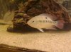 DSC03622.JPG