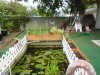 DSC00159.JPG