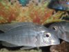 DSCN1399.jpg