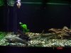 DSC04122.JPG
