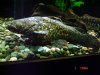 DSC04123.JPG
