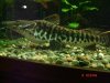 DSC03871.JPG