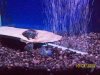 100_1713.jpg