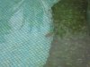 IMG_1881.JPG