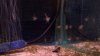 100_3039.jpg